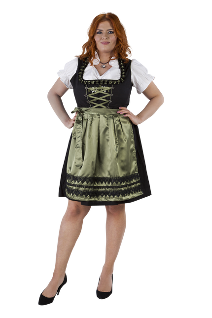 Svart Grön Dirndl Klänning Oktoberfest Damer