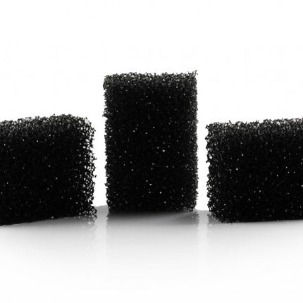 Svart svamp punkt 5st