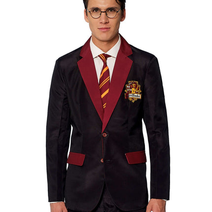 Harry Potter kostym Gryffindor herr