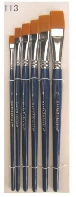 PXP Borstar Set I Fodral 6st