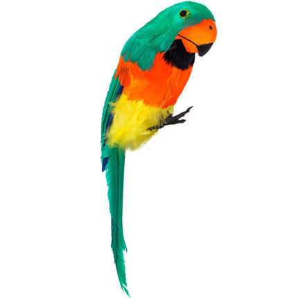 Pirat Fake Papegoja Grön