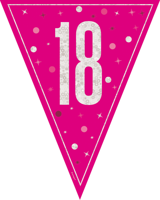 18 år Garland Pink 2,5 m