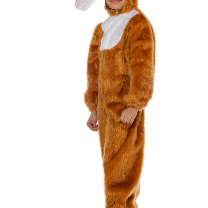 Hare Kostym Barn