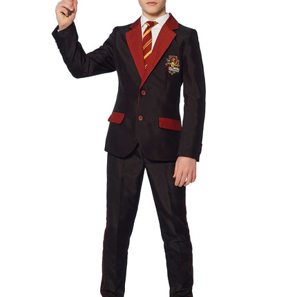 Harry Potter Kostym Pojke Gryffindor