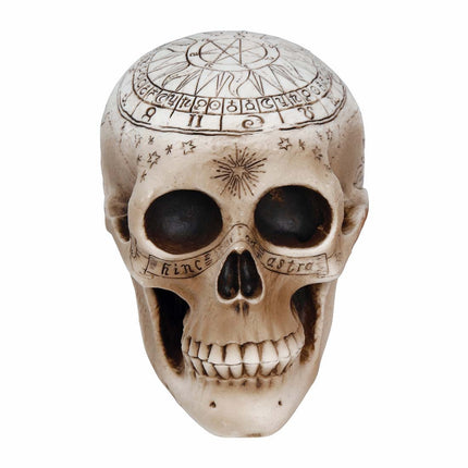 Halloween bordsdekoration Dödskalle 20cm