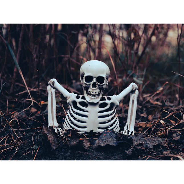 Halloween-skelett, 20 cm