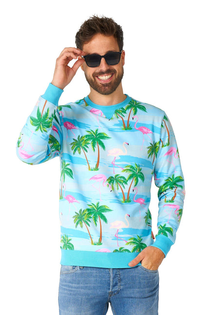 Hawaii Flamingo Tröja Herr <tc>OppoSuits</tc>