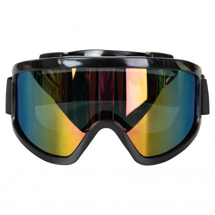 Skidglasögon Svart