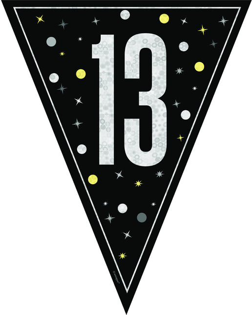 13 år Flagga 2,74m