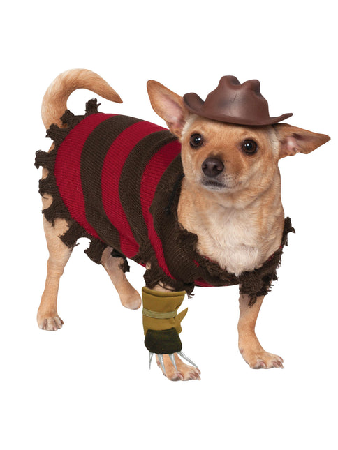 Halloween hundkostym Freddy Krueger