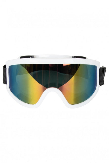 Skidglasögon Vit