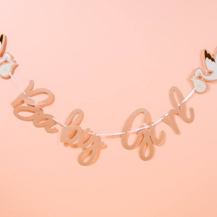 Födelsebokstavsgirlang Babygirl 2m