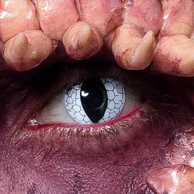 Svart Vit Färg Linser Drake