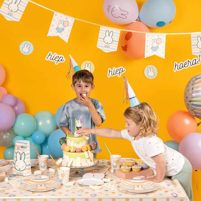 Miffy Bokstavsgirlang Färgad 2.65m