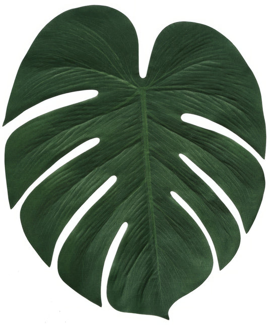 Hawaii Dekoration Palmblad 34cm 4st