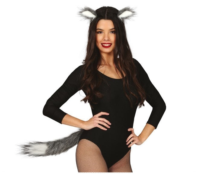 Tillbehörssats Fox 2 delar