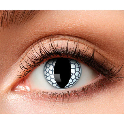 Svart Vit Färg Linser Drake