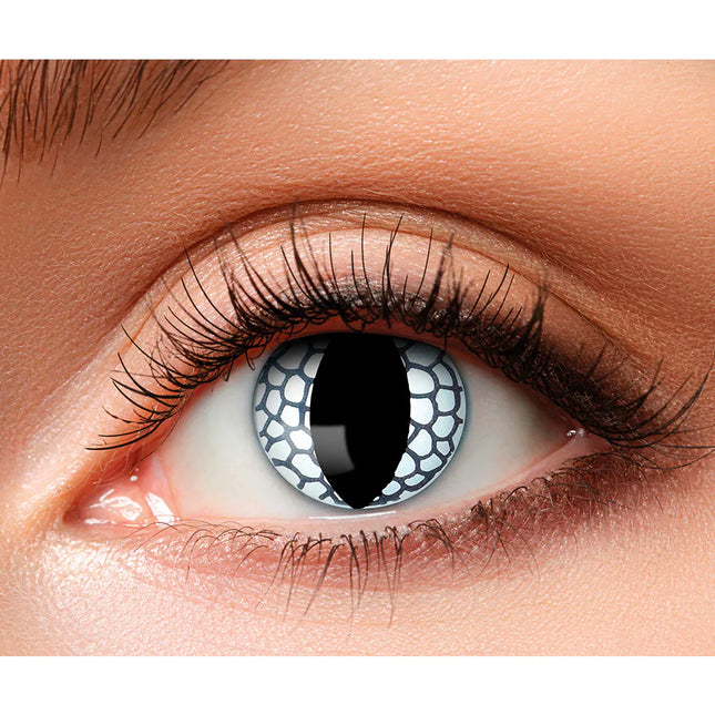 Svart Vit Färg Linser Drake