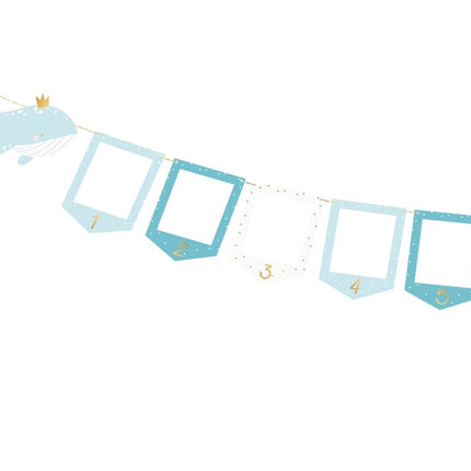 Foto Slinger Walvis 3m van Partydeco koop je bij Partywinkel