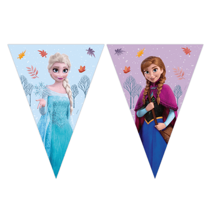 Frozen Idyllic Wonder papieren slinger van Procos koop je bij Partywinkel