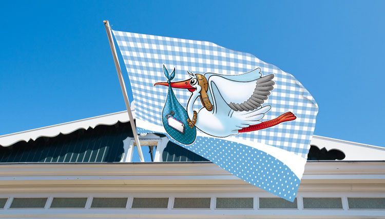Geboortevlag Jongen 90cm van Folat koop je bij Partywinkel
