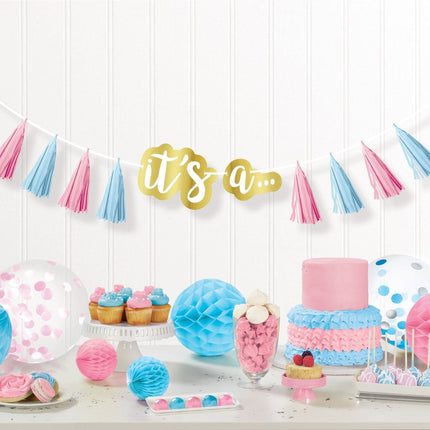 Gender Reveal Letterslinger 2,4m van Riethmueller koop je bij Partywinkel