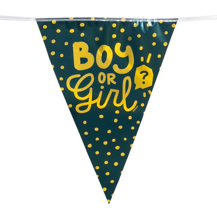 Gender Reveal Slinger Boy Or Girl 6m van Boland koop je bij Partywinkel