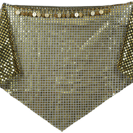 Gouden Hoofdband Munten van Fiestas Guirca koop je bij Partywinkel