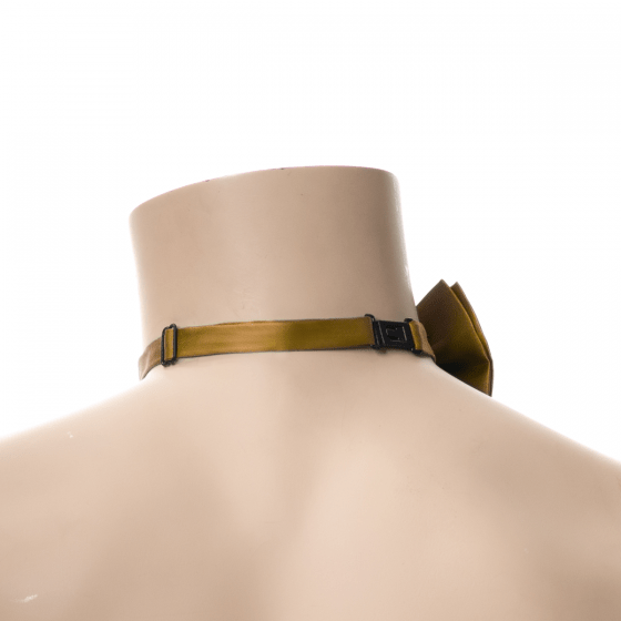 Gouden Vlinderdas van Partychimp koop je bij Partywinkel