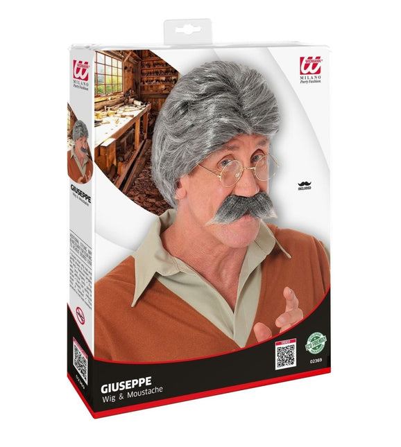 Grijze Pruik van Widmann koop je bij Partywinkel