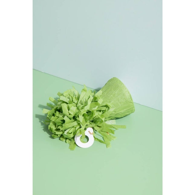 Groene Ballon Gewicht Mat 170gr van Folat koop je bij Partywinkel