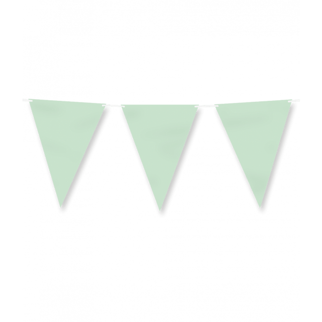 Groene Slinger Pastel 6m van Paper Dreams koop je bij Partywinkel