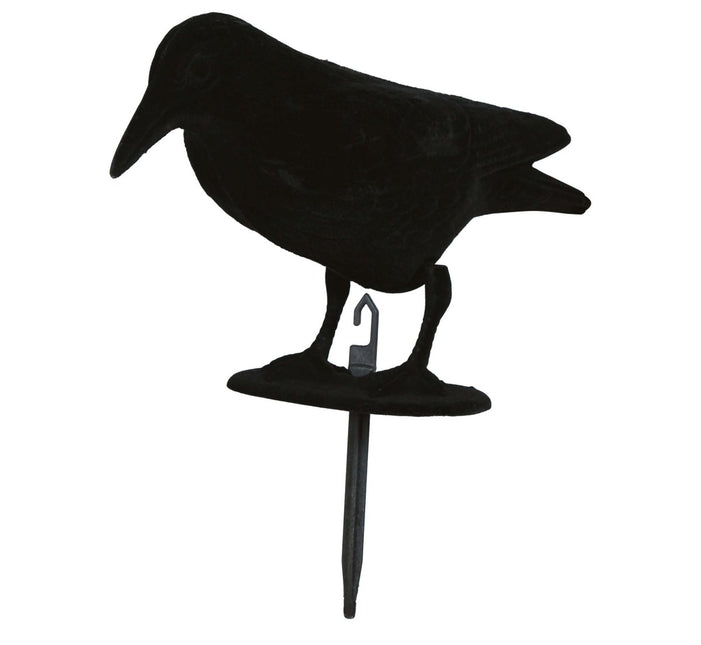 Halloween Decoratie Raaf 30cm van Fiestas Guirca koop je bij Partywinkel