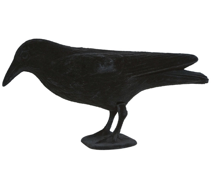 Halloween Decoratie Raaf 30cm van Fiestas Guirca koop je bij Partywinkel