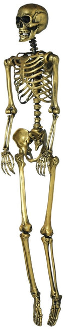Halloween Goud Skelet 90cm van Fiestas Guirca koop je bij Partywinkel