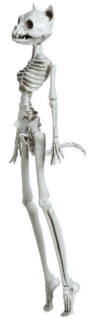 Halloween Skelet Kat 37cm van Fiestas Guirca koop je bij Partywinkel