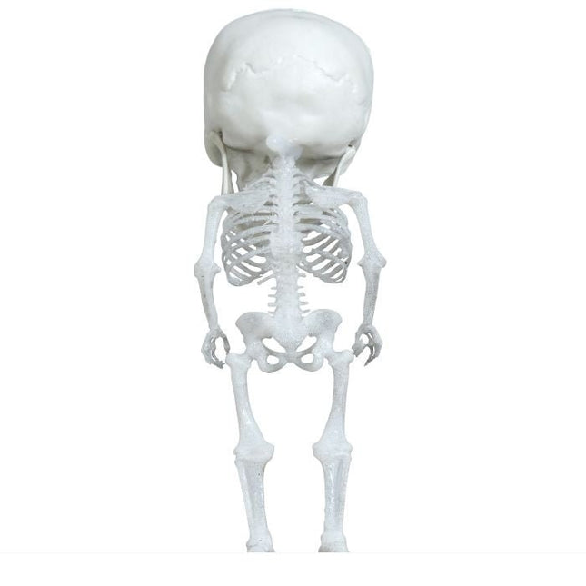 Halloween Skelet 15cm van Fiestas Guirca koop je bij Partywinkel