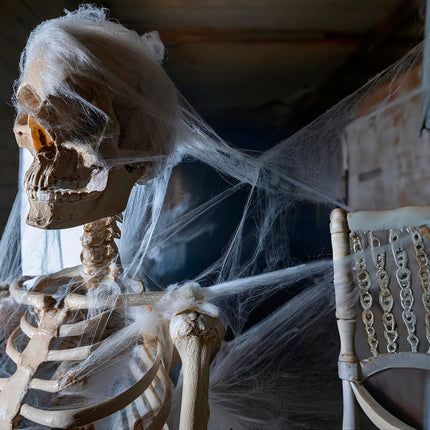 Halloween Hangdecoratie Wit Spinnenweb 60gr van Fiestas Guirca koop je bij Partywinkel