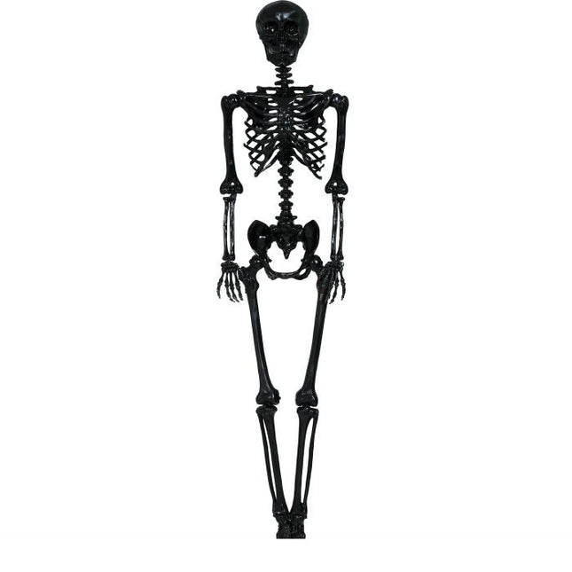 Halloween Hangdecoratie Zwart Skelet 1,6m van Fiestas Guirca koop je bij Partywinkel