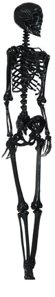 Halloween Hangdecoratie Zwart Skelet 90cm van Fiestas Guirca koop je bij Partywinkel