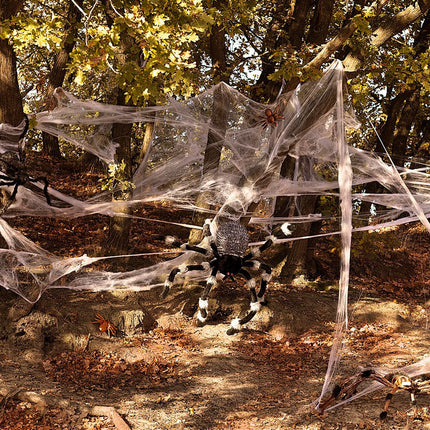 Halloween Harige Spin 70cm van Boland koop je bij Partywinkel