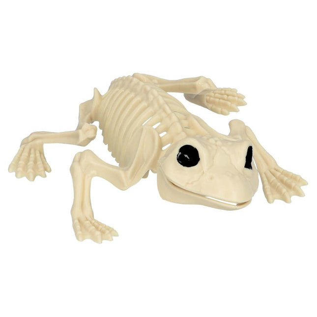 Halloween Kikker Skelet 17cm van Boland koop je bij Partywinkel