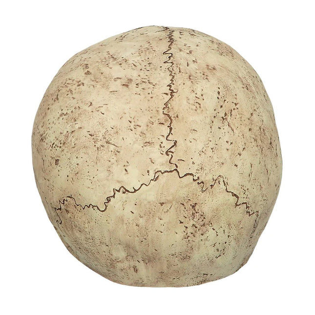 Halloween Masker Nude Schedel van Boland koop je bij Partywinkel