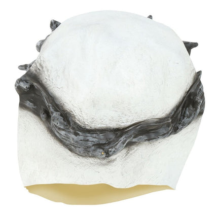 Halloween Masker Skelet van Fiestas Guirca koop je bij Partywinkel