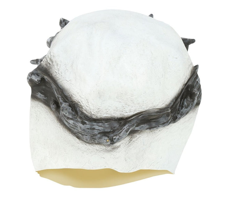 Halloween Masker Skelet van Fiestas Guirca koop je bij Partywinkel