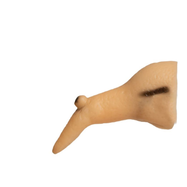 Halloween Nep Neus Heks 10cm van Partychimp koop je bij Partywinkel