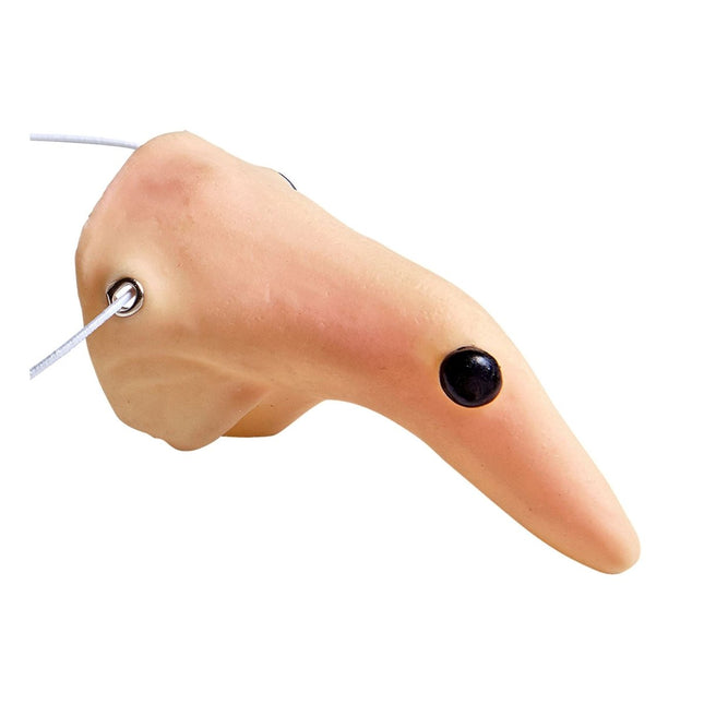 Halloween Nep Neus Heks van Widmann koop je bij Partywinkel
