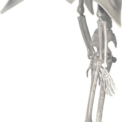 Halloween Pop Skelet Vampier 40cm van Fiestas Guirca koop je bij Partywinkel