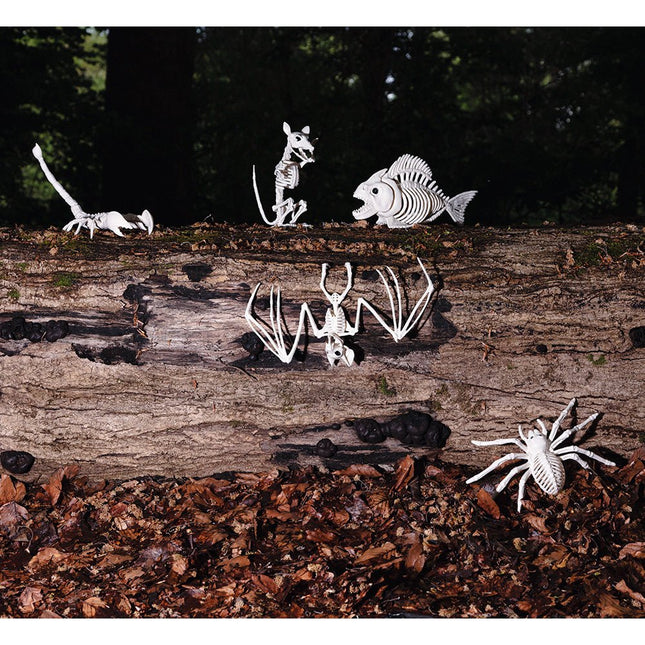 Halloween Rattenskelet 18cm van Boland koop je bij Partywinkel