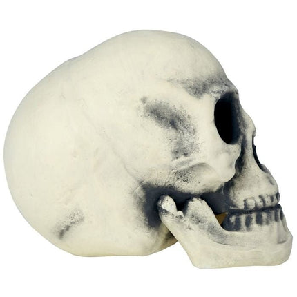 Halloween Schedel 32cm van Fiestas Guirca koop je bij Partywinkel